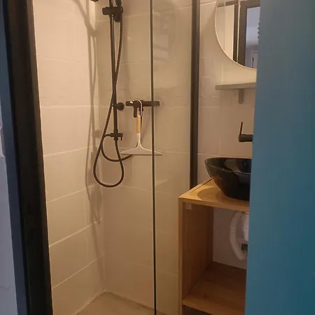 Géranium Des Fleurs Appartement