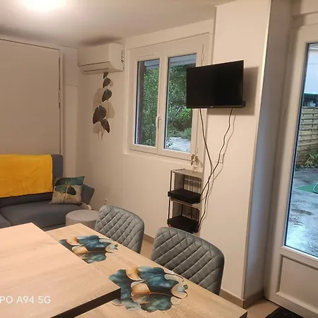 Géranium Des Fleurs Appartement