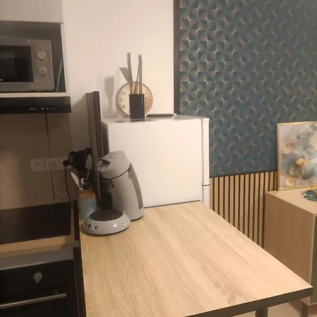 Géranium Des Fleurs Appartement *